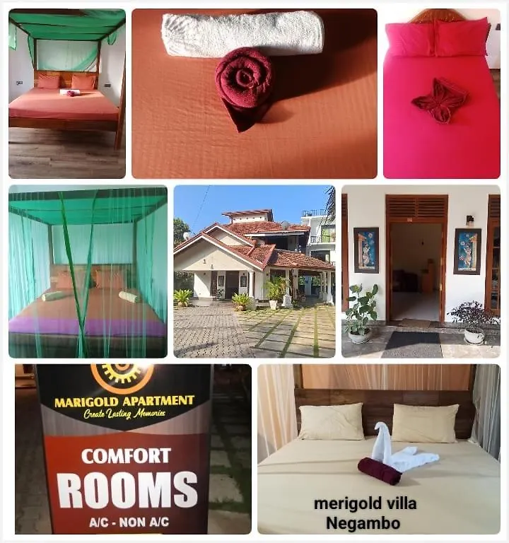 Bed and Breakfast Marigold Negombo Bed & Breakfast