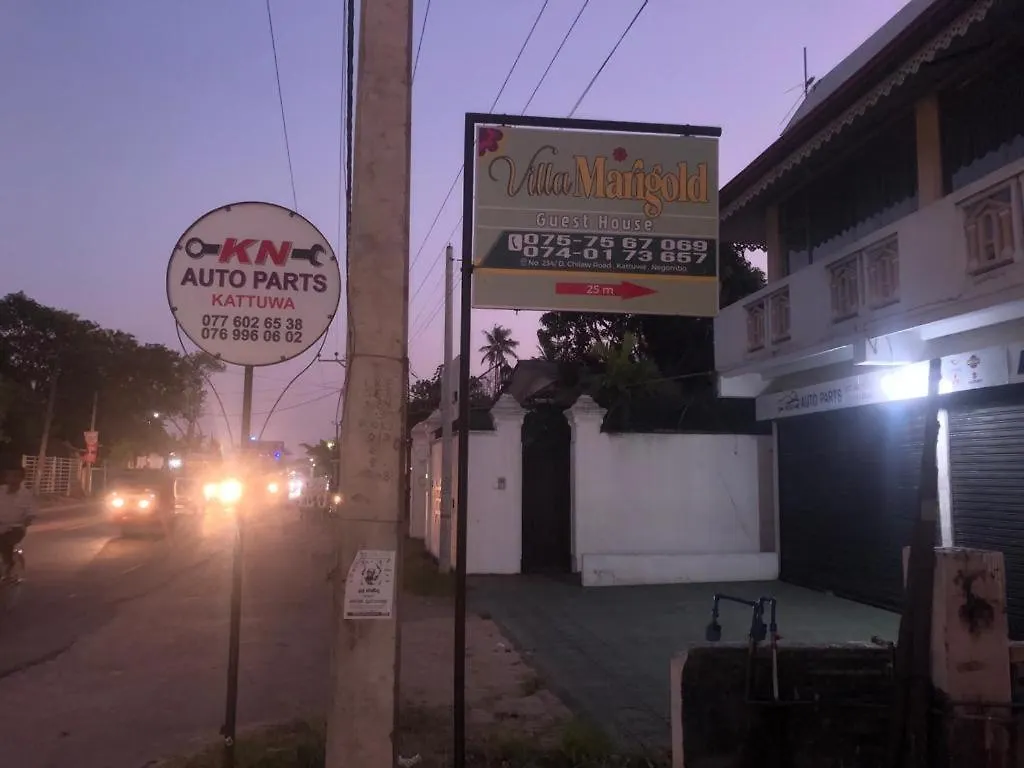Bed and Breakfast Marigold Negombo